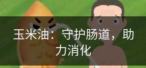 玉米油：守护肠道，助力消化